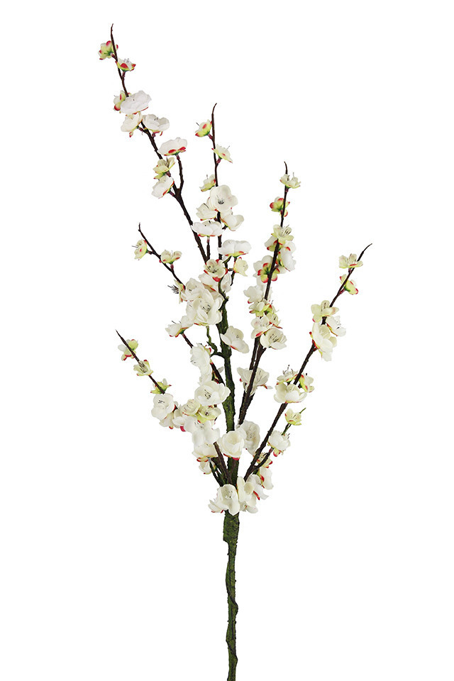 Chinese Style Blossom