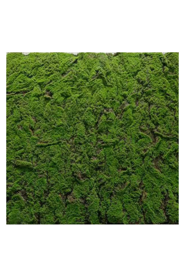 Pemium Moss Panel
