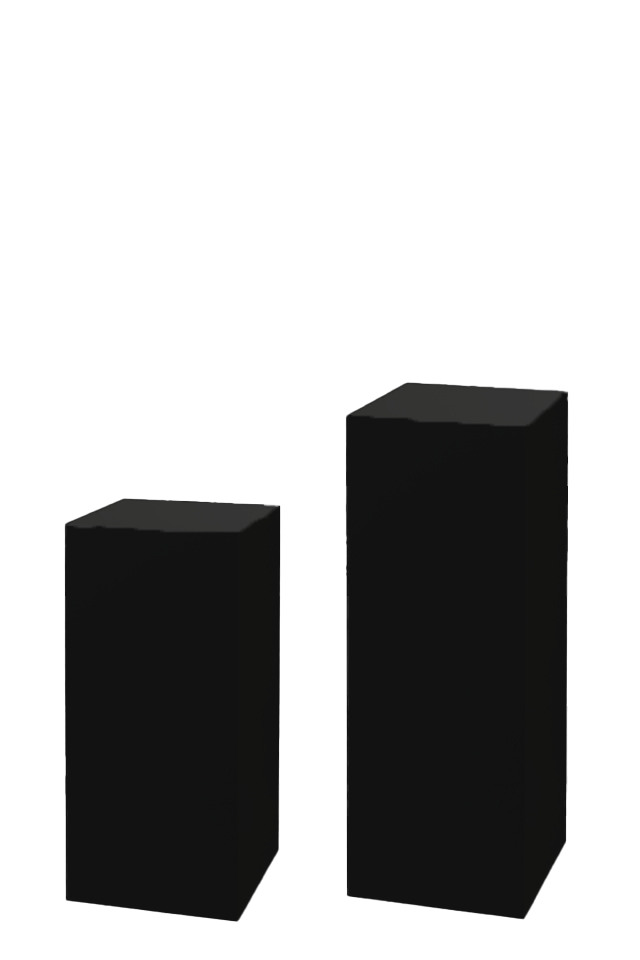 Tall Black Acrylic Plinths