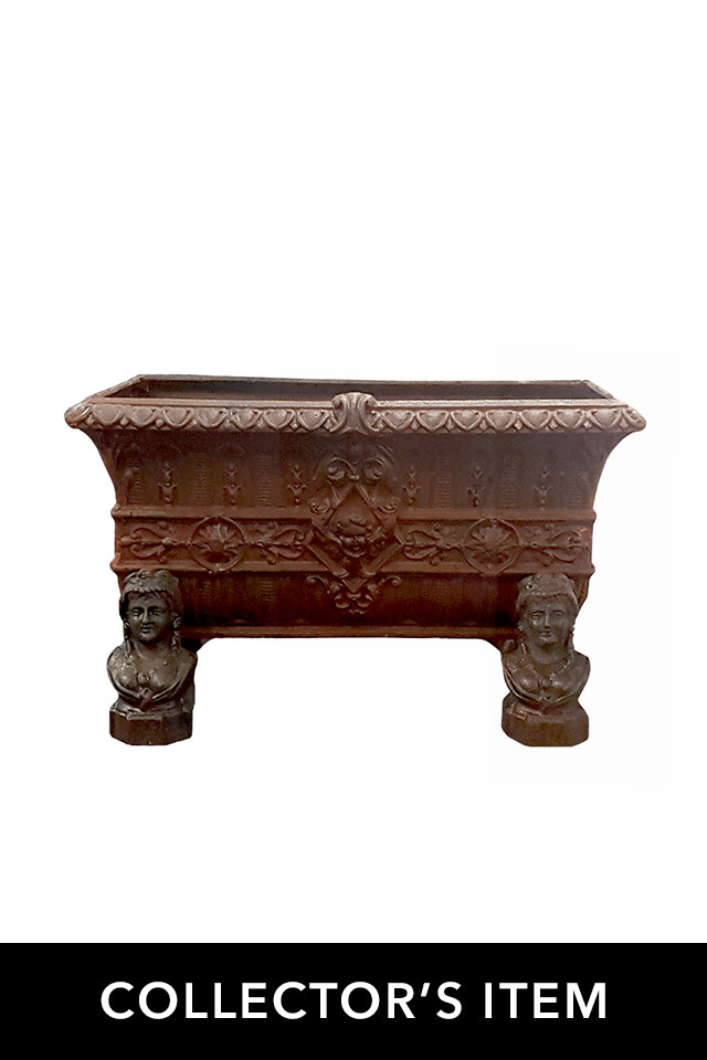 Collector's Cast Iron Tub